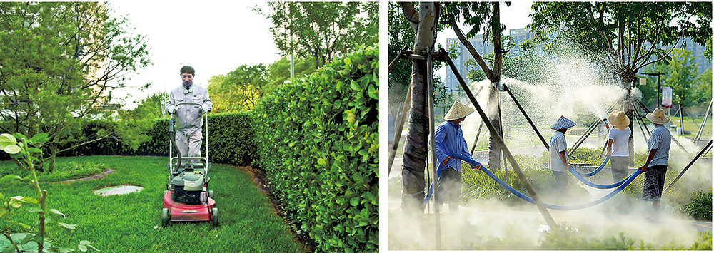 1636682177828214.jpg lh.jpg